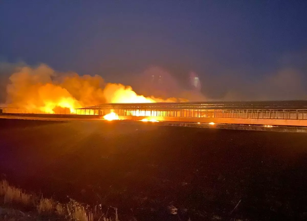 Diyarbakır'da Tarım Arazisinde Yangın Söndürüldü