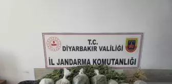Diyarbakır'da Uyuşturucu Operasyonlarında 36 Kişi Hakkında İşlem Yapıldı