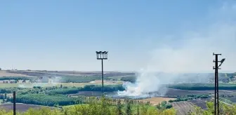 Hevsel Bahçeleri'nde Anız Yangını Söndürüldü
