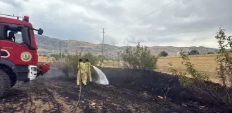Diyarbakır'da Ormanlık ve Tarım Arazilerinde Yangınlar Söndürüldü
