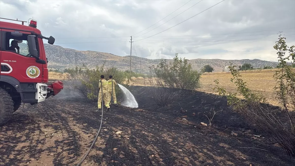 Diyarbakır'da Ormanlık ve Tarım Arazilerinde Yangınlar Söndürüldü