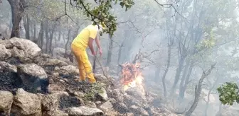 Diyarbakır'da Orman Yangınına Müdahale Devam Ediyor