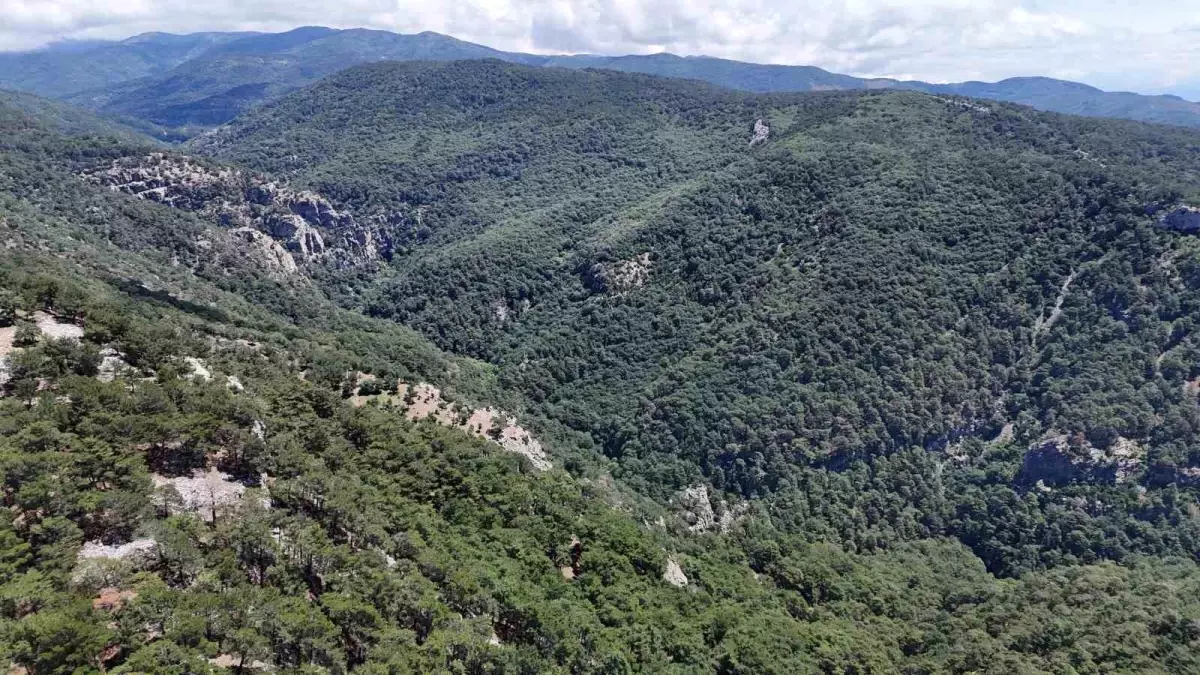 Çanakkale’de Doğa Yürüyüşünde Kaybolan İl Müdür Yardımcısı İçin Arama Çalışmaları Başlatıldı