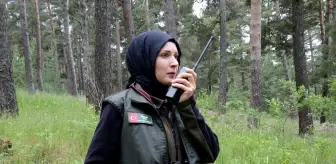 Doğanın Koruyucuları 655 Bin Hektar Ormanı Nöbet Tutuyor