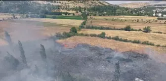 Malatya'nın Doğanşehir İlçesinde Arazi Yangını Söndürüldü