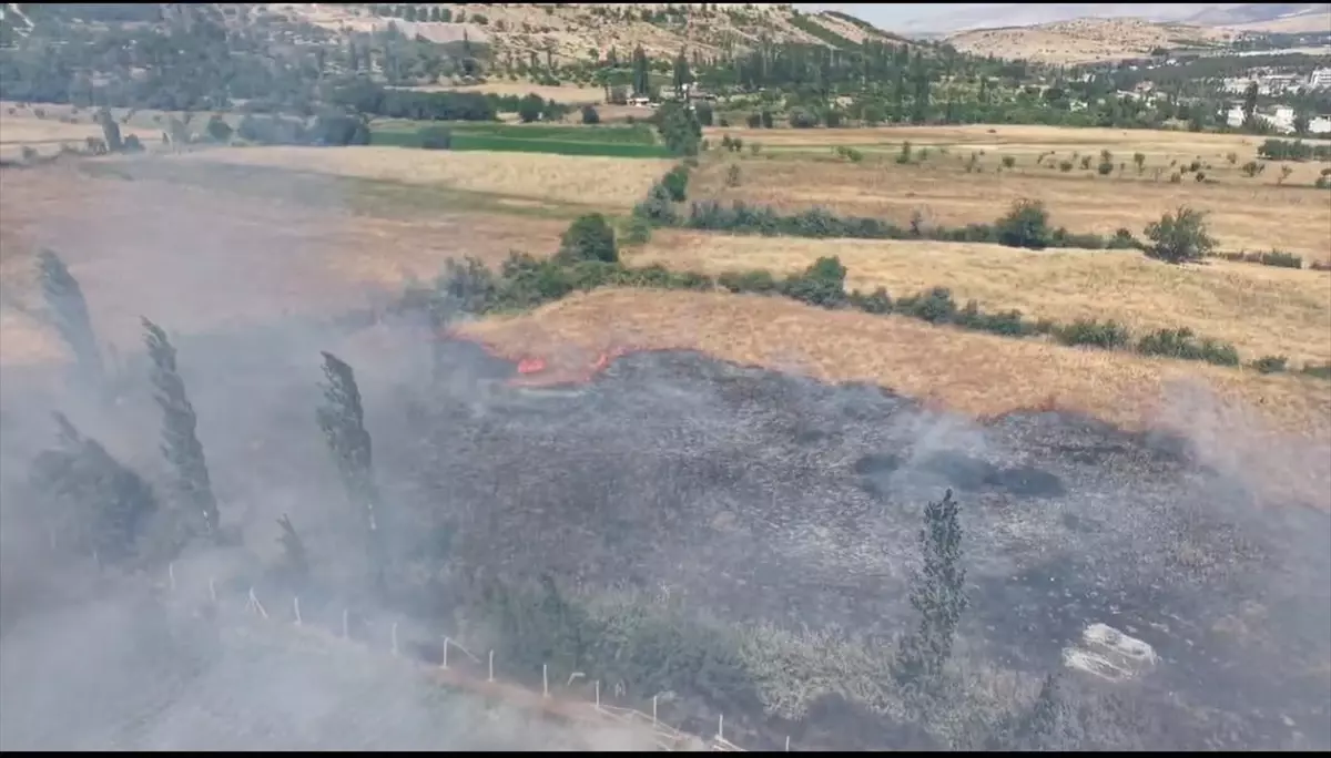 Malatya'nın Doğanşehir İlçesinde Arazi Yangını Söndürüldü