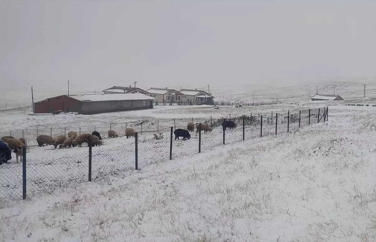 Kar Yağışı Doğu Karadeniz'i Beyaza Bürüdü
