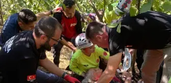 Kaybolan 81 Yaşındaki Kadın Fındık Bahçesinde Bulundu