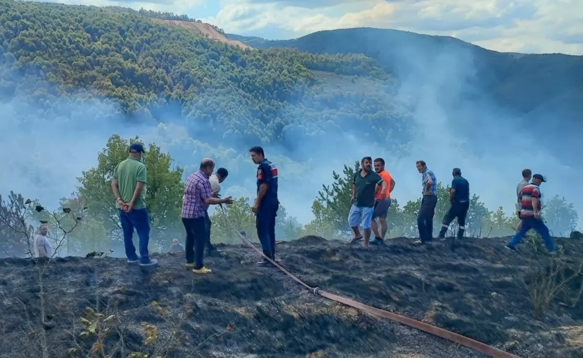Yığılca'da Anız Yangını Kısa Sürede Söndürüldü