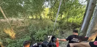 Düzce'de Bataklığa Saplanan İnek İtfaiye Ekiplerince Kurtarıldı