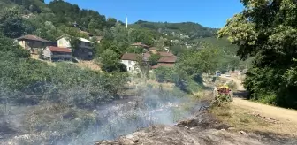 Düzce'de Çalılık Alanda Yangın: 5 Dönüm Alan Zarar Gördü