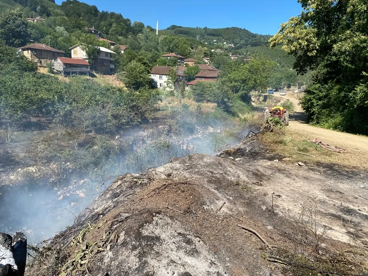 Düzce'de Çalılık Alanda Yangın: 5 Dönüm Alan Zarar Gördü