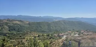 Düzce'de Çalılık Alandaki Yangın Kontrol Altına Alındı