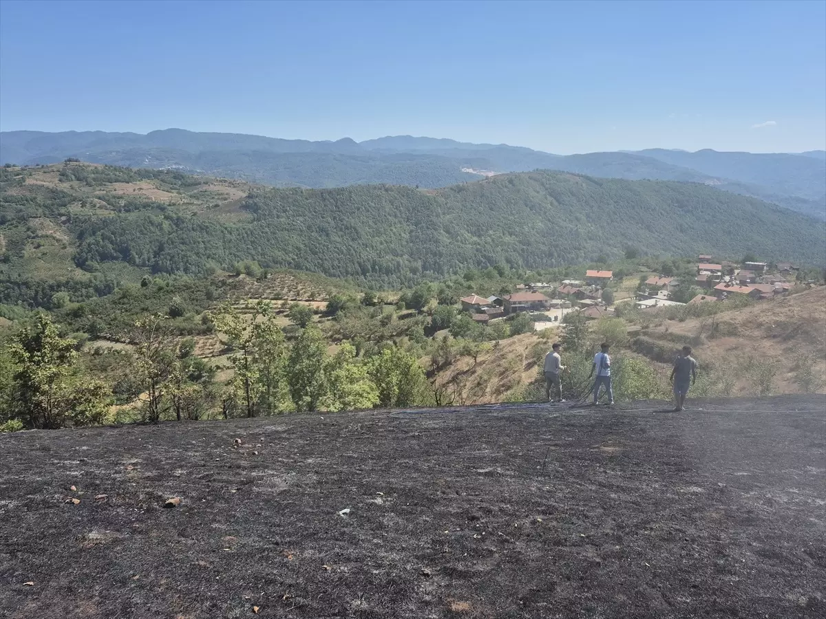 Düzce'de Çalılık Alandaki Yangın Kontrol Altına Alındı