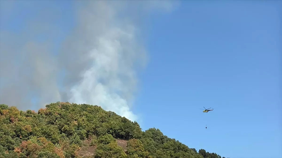 Düzce'de Orman Yangınına Müdahale Devam Ediyor