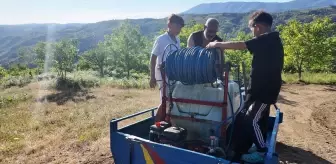Yığılca'da Çıkan Örtü Yangını Kontrol Altına Alındı