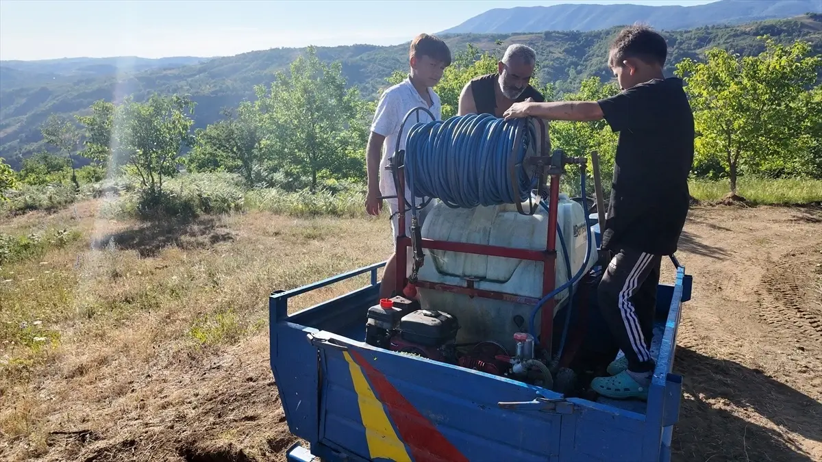 Yığılca'da Çıkan Örtü Yangını Kontrol Altına Alındı