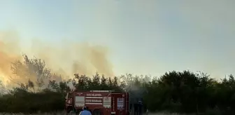 Düzce'de Kırsal Alanda Çıkan Yangın Kontrol Altına Alındı
