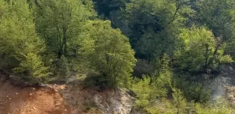 Düzce'de Kaybolan Köpek 3 Gün Sonra Kurtarıldı