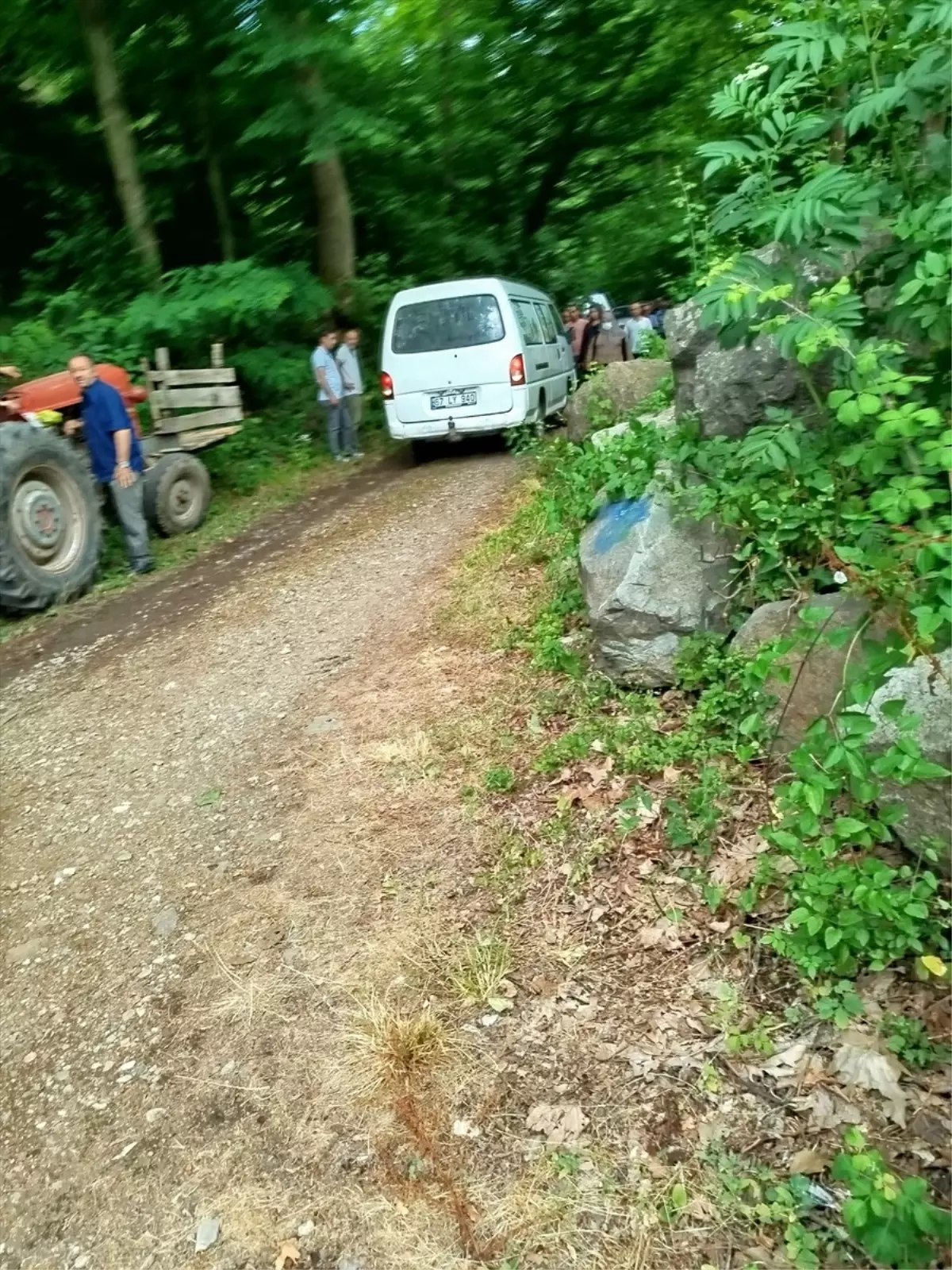 Düzce'de Ağaç Kesimi Sırasında Kaza: Bir Kişi Hayatını Kaybetti