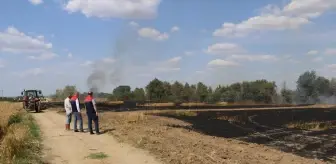 Edirne'de Buğday Tarlasında Yangın: 10 Dekar Alan Zarar Gördü