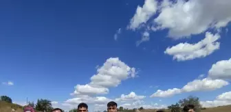 Edirne'de 11 Düzensiz Göçmen Yakalandı