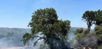Edirne'de Anız Yangınları Kontrol Altına Alındı
