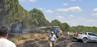 Edirne'de Buğday Tarlasında Yangın: 5 Dekar Zarar Gördü