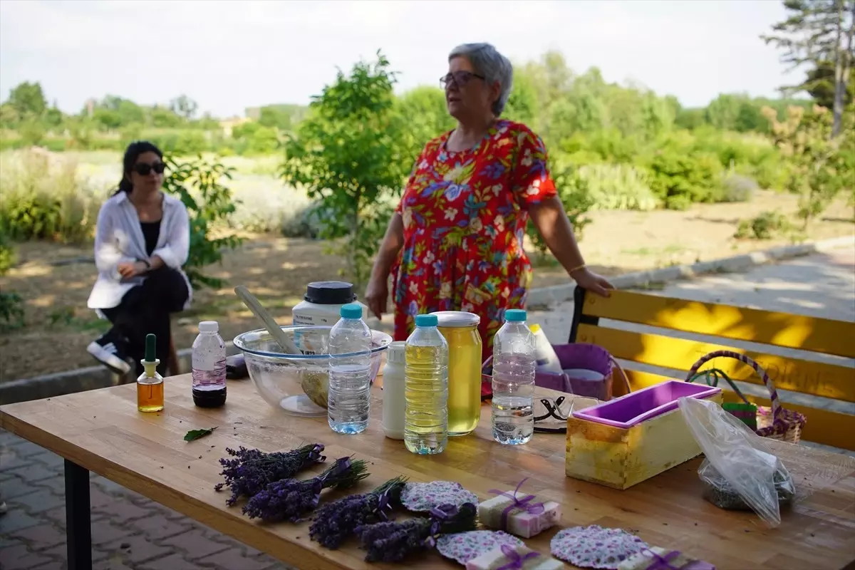 8. Edirne Lavanta Tarla Günleri'nde Etkinlikler Devam Ediyor