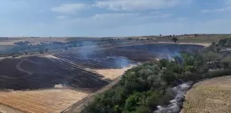 Edirne'de Yangın: 150 Dekar Tarım Arazisi Zarar Gördü