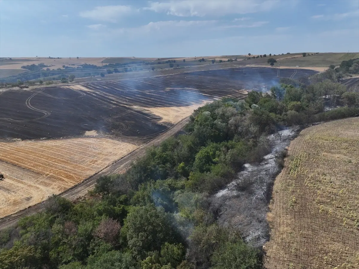 Edirne'de Yangın: 150 Dekar Tarım Arazisi Zarar Gördü