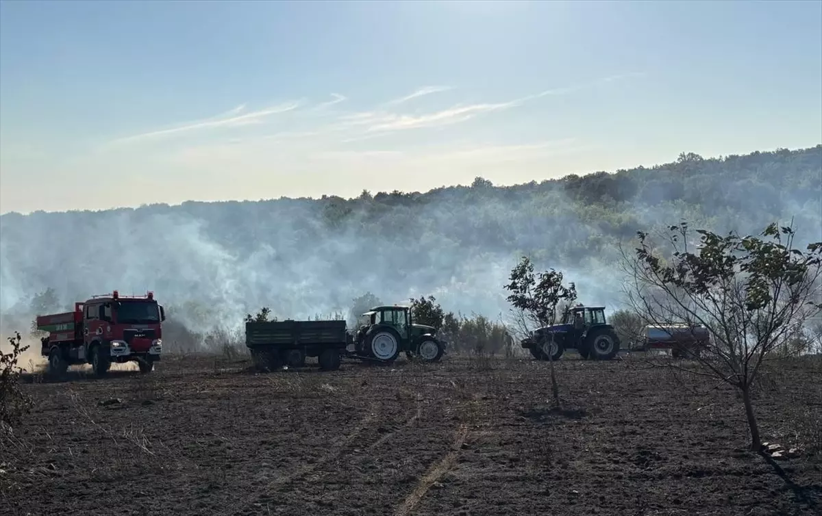 Edirne'de Biçerdöverde Çıkan Yangın Ormana Sıçradı