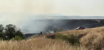 Edirne'de Buğday Tarlasında Yangın Çıktı
