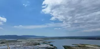 Edirne'de Çeltik Ekim Dönemi Tamamlanıyor