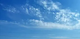 Edirne'nin Enez ilçesinde Anız Yangını Söndürüldü