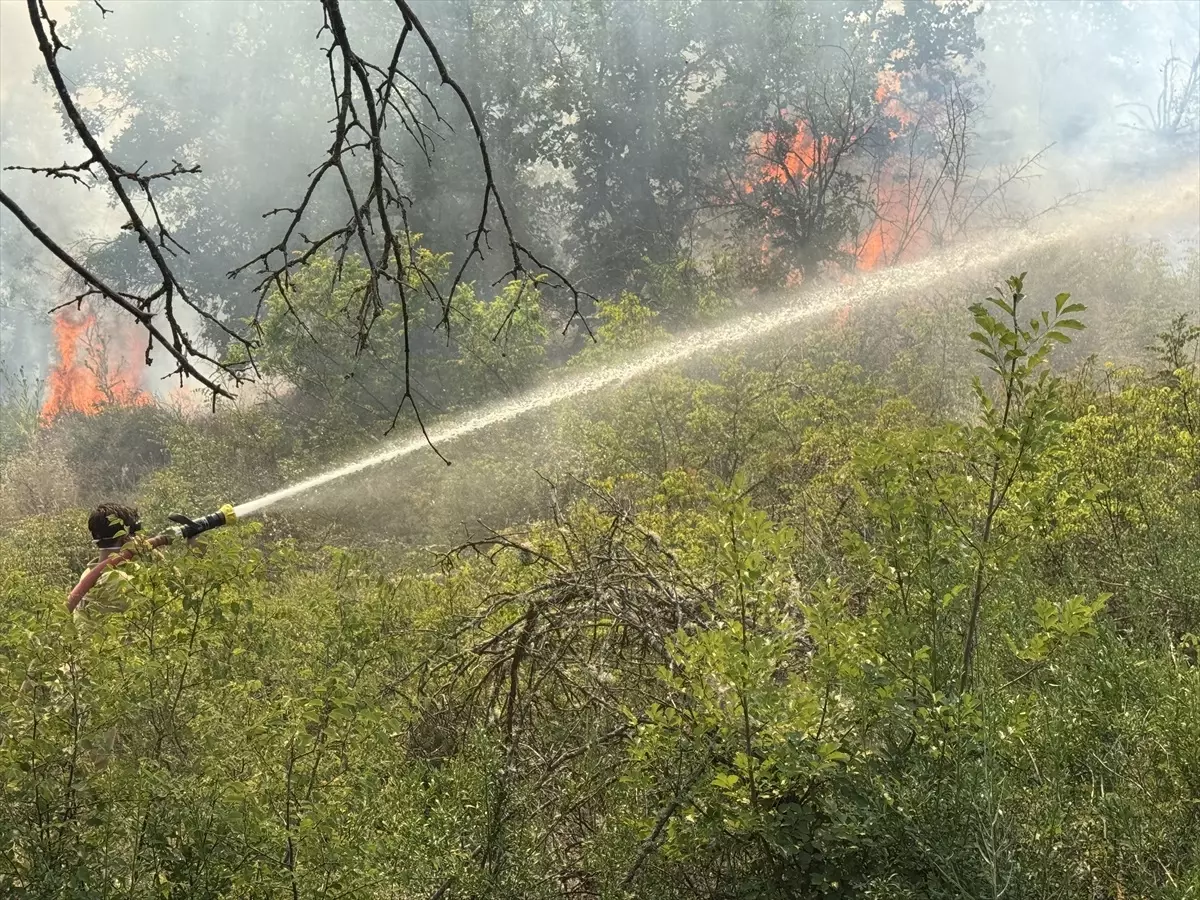 Edirne'de Orman Yangınına Havan ve Karadan Müdahale