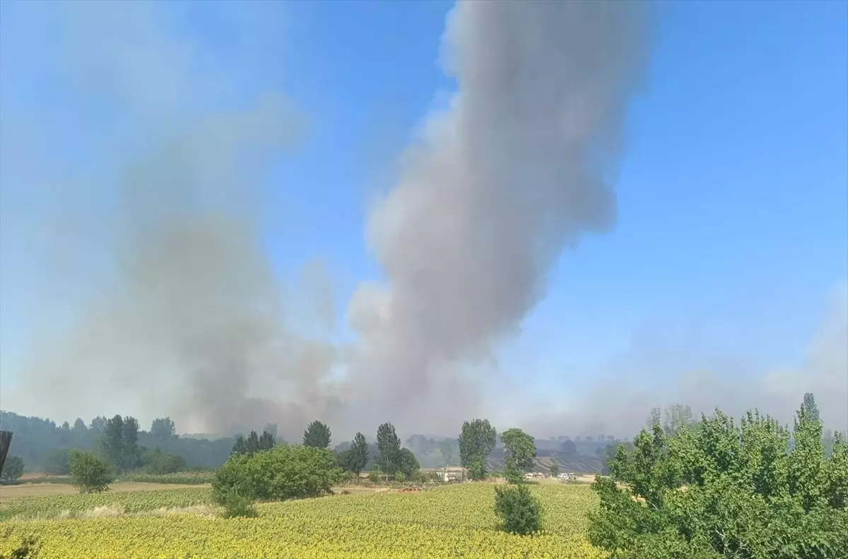 Edirne'nin Keşan ilçesinde orman yangınına müdahale sürüyor