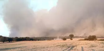 Edirne Enez'de Orman Yangınına Havadan ve Karadan Müdahale