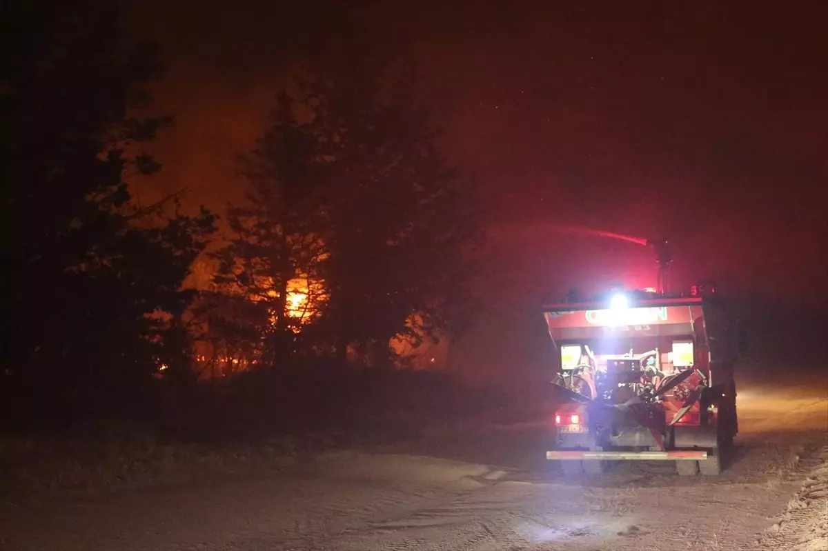 Edirne'de Orman Yangınına Müdahale Sürüyor