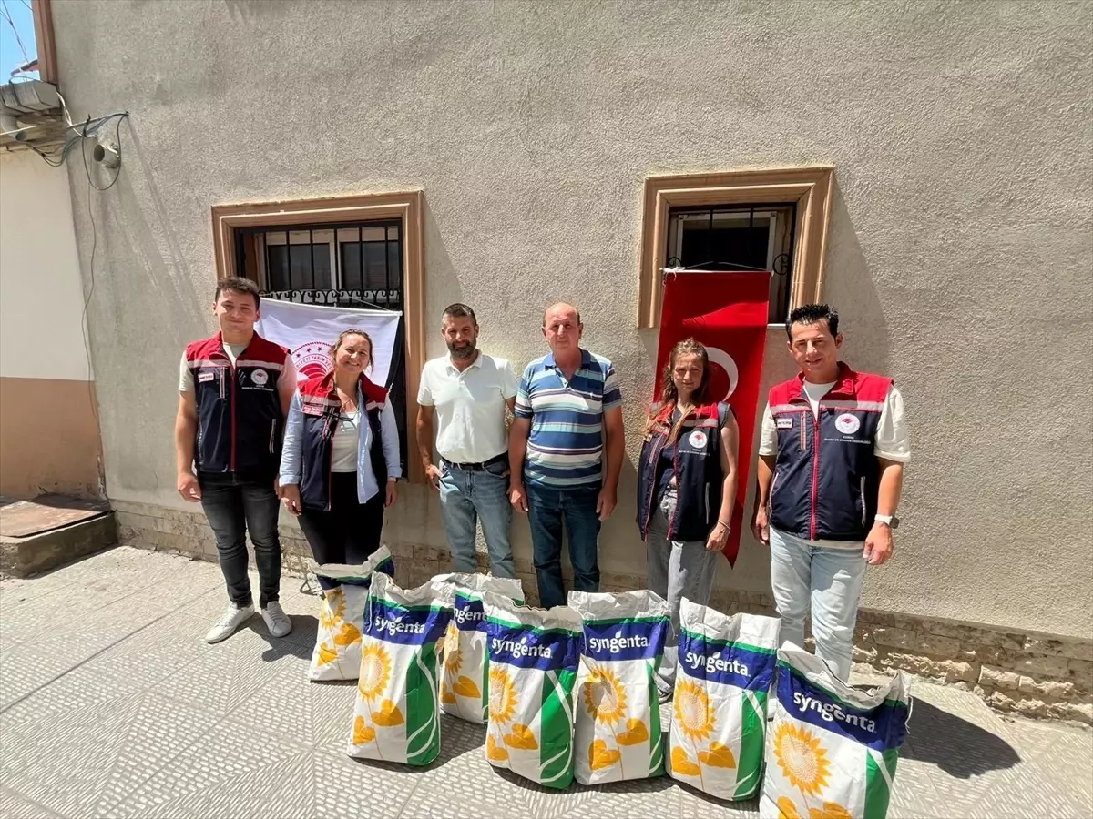 Edirne'de Çiftçilere Ayçiçeği Tohumu Desteği