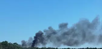 Edirne'de Orman Yangını Kontrol Altına Alındı