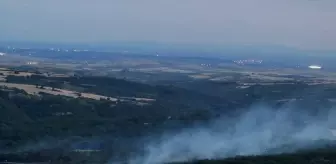 Edirne'de Orman Yangını Kontrol Altına Alındı