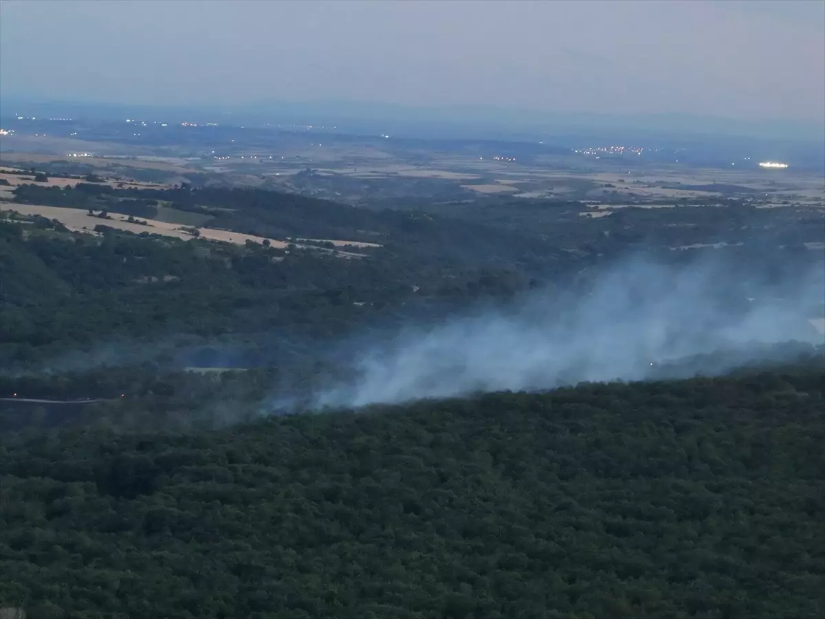 Edirne'de Orman Yangını Kontrol Altına Alındı