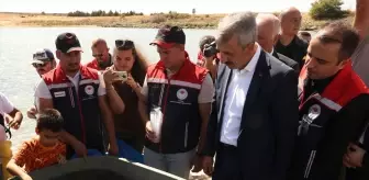 Edirne'de 30 Bin Saçın Yavru Sazan Göl ile Buluştu