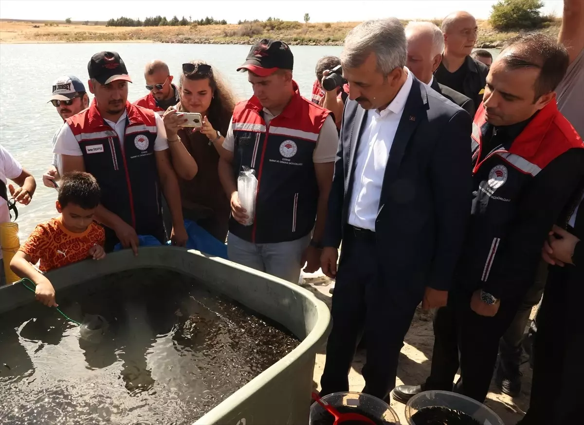 Edirne'de 30 Bin Saçın Yavru Sazan Göl ile Buluştu
