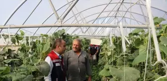 Edirne'de Sera Kapasitesi Artırımı İçin Çalışmalar Devam Ediyor