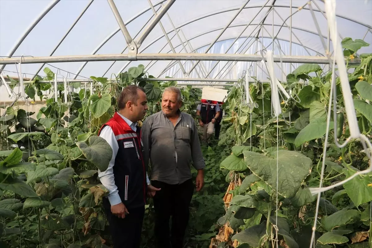Edirne'de Sera Kapasitesi Artırımı İçin Çalışmalar Devam Ediyor
