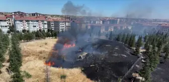 Edirne'de Kavgaz Tabya Yakınlarında Yangın Çıktı