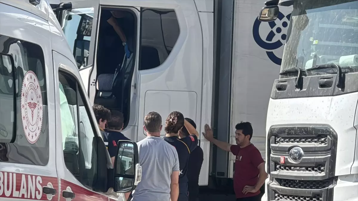 Tır Şoförü Edirne'de Araçta Ölü Bulundu
