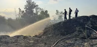 Edirne'de Tunca Nehri Kenarında Yangın Çıktı